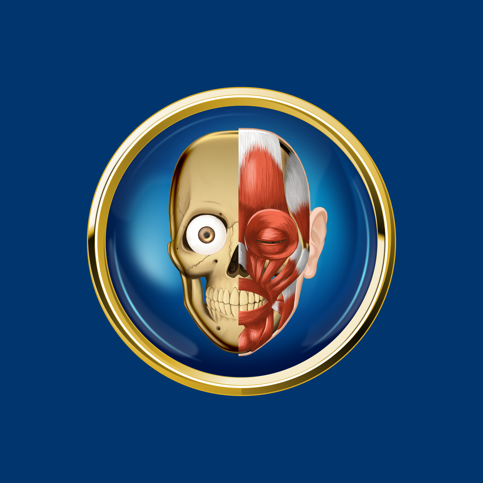 HiDoctor® Curtas